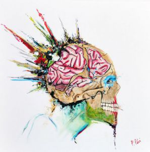 Voir le détail de cette oeuvre: Cerveau et crâne